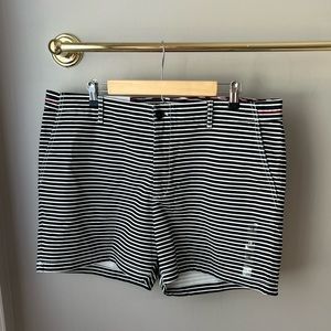 NWT Tommy Hilfiger Women’s Navy Shorts